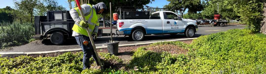 Commercial Landscape Maintenance and Enhancements