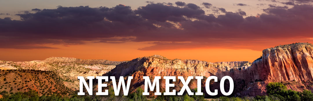 City Wide Property Services - New Mexico