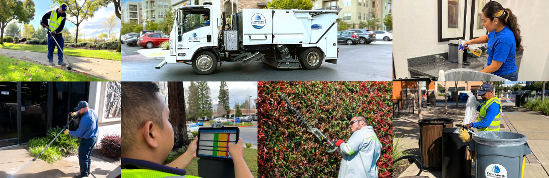 City Wide Property Services Hero