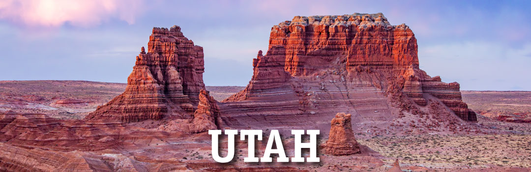 City Wide Property Services - Utah