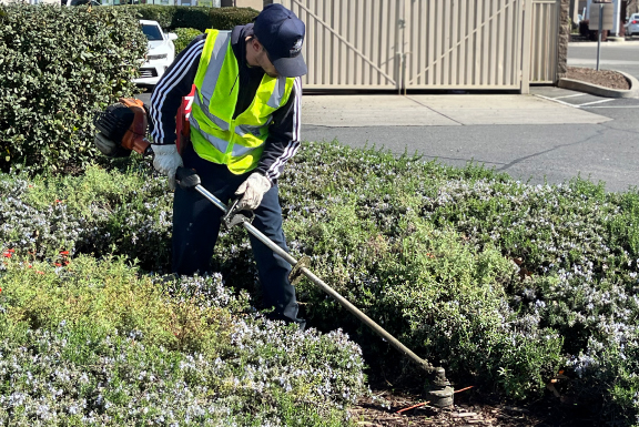 City Wide Property Services - Texas Property Inspections